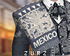 Z| Mariachi Sarape v3