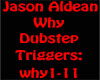 Jason Aldean 'Why' 