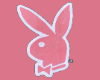 PlayBoy Rug <3