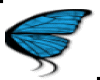 .MM.Bfly Wings-LightBlue