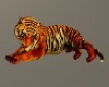 LC- Playful Huggin Tiger