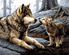 Wolf and Wolf Cub