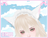 à±¨à§ kitty ears