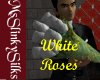 (MSS) Roses, White