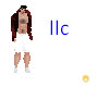 llc