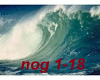 Nochnimi ognyami