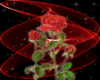 red roses sticker