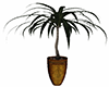 Brown & Gold Palm Tree
