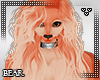 B | Tiger Lily Hair