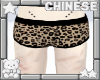 𝜗𝜚  cheetah