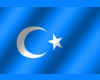 crm*turkmenistan flag