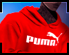 Hoodie PMA