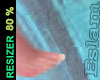 Feet Resizer 80%