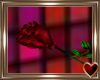 Te Red Rose of Luv