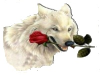 rose Wolf 1