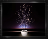 ! ENCHANTED LIGHT TREE
