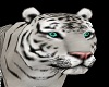 Tiger Pet White Derivabl