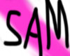 {Sae} Sam's Sign