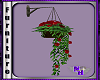 (1NA)Red Flower Basket