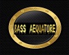 BassAequatore DanceStage