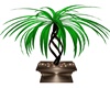 Jungle Tree