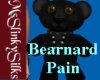 MSS Bearnard Pain Pet