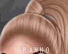U. Zoora Cocoa