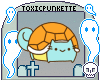 kitty turtle