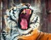 6v3| Tiger 4