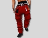 Red stylish pants