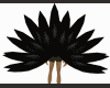 Crow feather tail