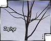 [Z.E] Tree of Death
