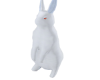 rabbit snow