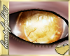 *h*Kawaii-Eyes*Golden*