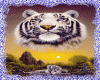 Animated Tiger 31