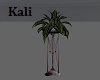 Sensual Plant 5