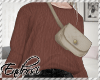 " Brown Sweater & Bag