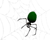Green spider with web 