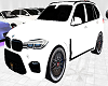 WHT BMW X7 2019
