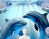 Dolphins background
