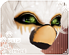 [Pets] Evy | bird head