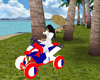 dominican 4-wheeler