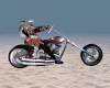 Ani Speed Motorcycle