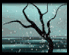 Tree enchanted