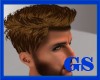 "GS" NEW LECTTER HAIR V7