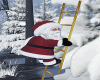 ^F^Santa Ladder