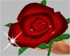 Sparkling Love Red Rose