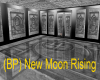 (BP) New Moon Rising 2