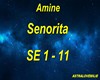 AMINE - SENORITA