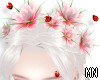 Spring flower crown ♡